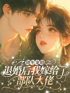 热文《苏芷念陆湛渊》随军宠婚，退婚后我嫁给了部队大佬全文无弹窗阅读