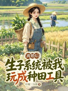 离婚后，生子系统被我玩成种田工具完整目录在线阅读 (栗芽江叙) 大结局无弹窗