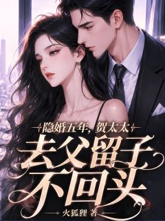《隐婚五年，贺太太去父留子不回头》小说全文精彩试读 第13章