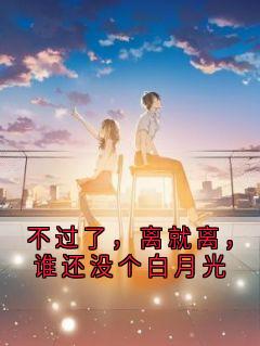 热文《不过了，离就离，谁还没个白月光》沈渡陆景舟夏晚全文无弹窗阅读