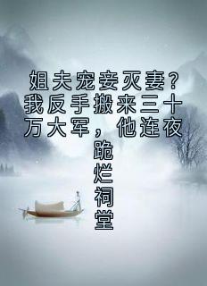姐夫宠妾灭妻？我反手搬来三十万大军，他连夜跪烂祠堂林景渊苏云芷阅读_姐夫宠妾灭妻？我反手搬来三十万大军，他连夜跪烂祠堂文本在线阅读