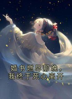 主角是婚书燃尽那晚，我终于死心离开的小说 《陆霆琛沈暮雪》 全文在线阅读