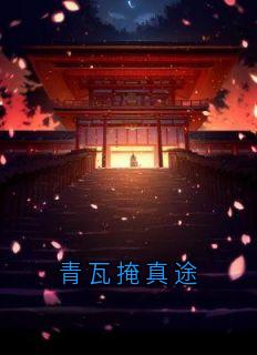 青瓦掩真途小说全集免费在线阅读（陈砚）