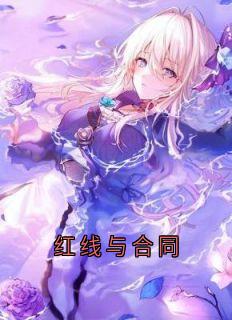 红线与合同小说 《陆昭然王启明梁临》小说全文免费试读