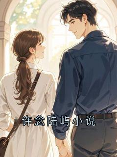 《许念陆屿小说》小说大结局在线阅读 许念小说阅读