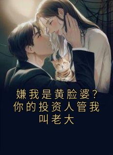 嫌我是黄脸婆？你的投资人管我叫老大免费阅读(陈景高总小说全本资源) 无广告