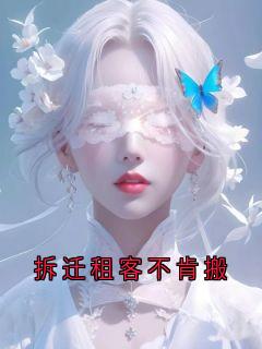 《沈砚》小说章节在线试读 第13章