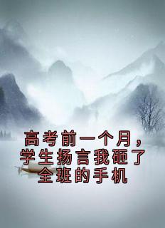 《张郝》小说章节目录免费试读 高考前一个月，学生扬言我砸了全班的手机小说阅读
