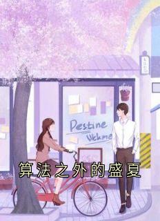 《算法之外的盛夏》最新章节免费阅读（完整版未删节）