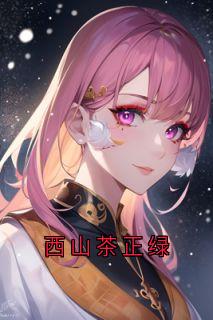 好书推荐《沈青阿若灶台》西山茶正绿全文在线阅读
