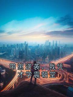 带崽逆袭，我凭才学震朝堂裴景深阿念苏婉儿全文免费试读