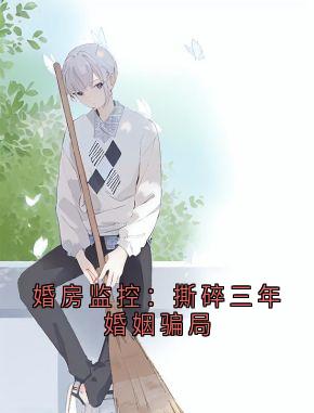 《陈琪苏冰》婚房监控：撕碎三年婚姻骗局章节列表在线试读