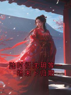 陆时衍沈瑶完整版全文阅读 陆时衍沈玥等一场未卜归期小说 大结局