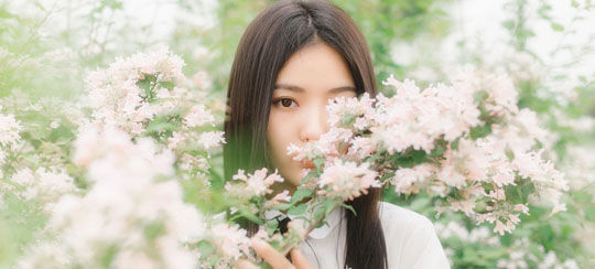白玫瑰